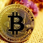 Coinbase Deutschland 2025: Ultimative Anleitung, Kosten & legale Alternativen 2 Coinbase Deutschland